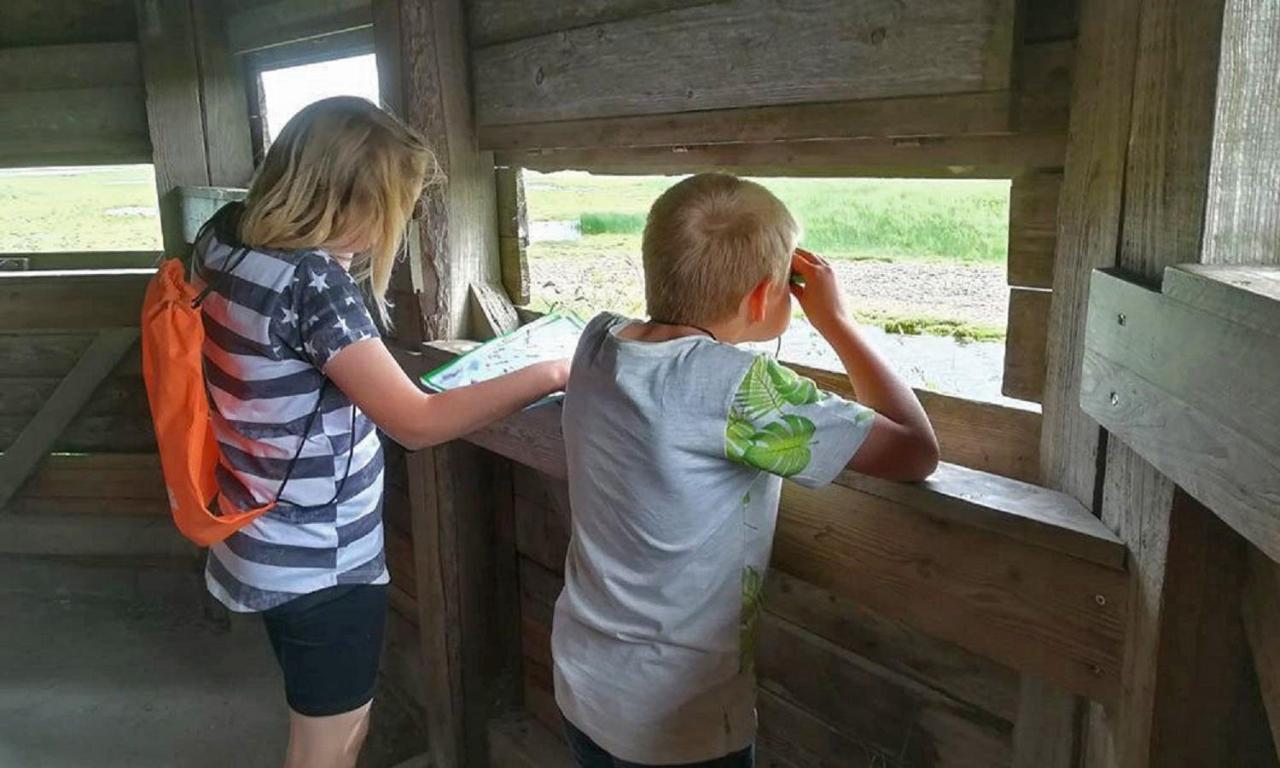 Chalet Op Camping Lauwersoog Met 3 Slaapkamers En Vaatwasser - Joycasa エクステリア 写真