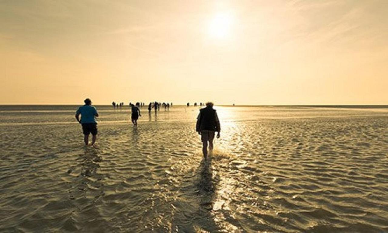 Chalet Op Camping Lauwersoog Met 3 Slaapkamers En Vaatwasser - Joycasa エクステリア 写真